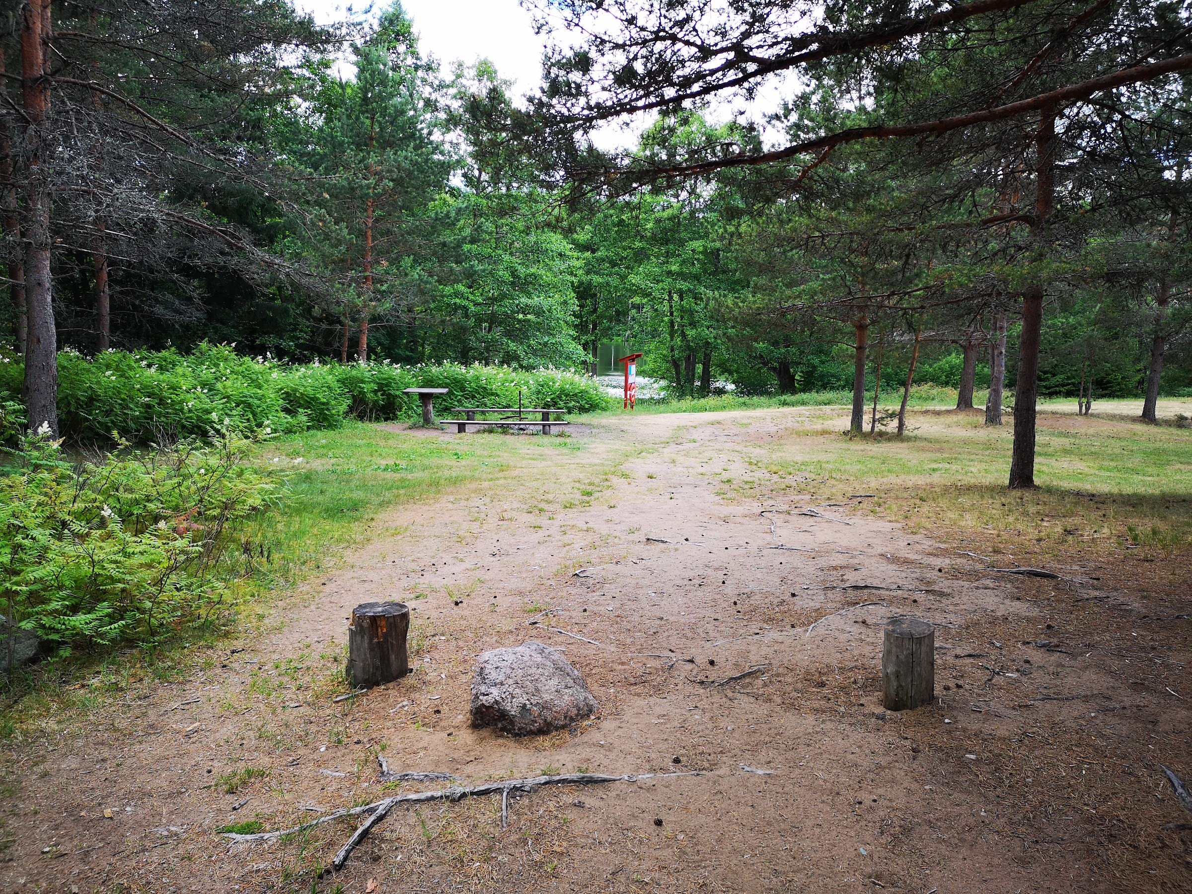 RMK Järvi Pärnjärve telkimisala